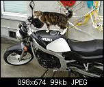 Klicke auf die Grafik fr eine grere Ansicht

Name:	dom.jpg
Hits:	514
Gre:	98,5 KB
ID:	17327