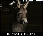 Klicke auf die Grafik f�r eine gr��ere Ansicht

Name:	cYpThkciSZCBR4ScIAPIug.jpg
Hits:	659
Gr��e:	46,4 KB
ID:	29694